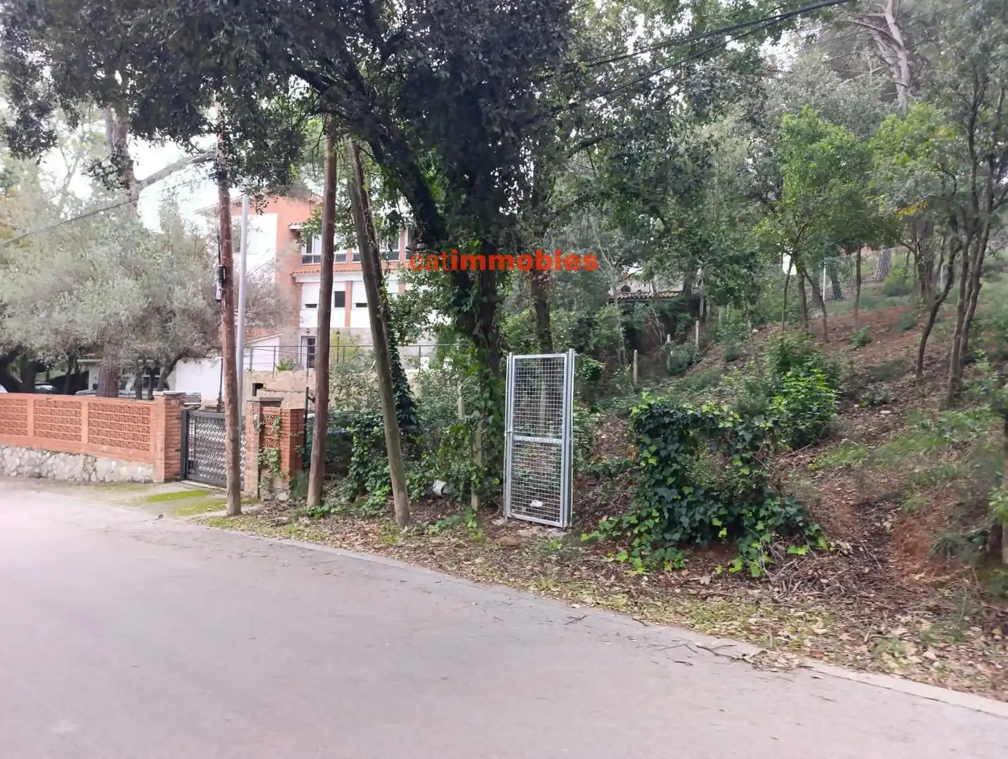 Terreny residencial en venda a Rosa Mariné, imagen 5