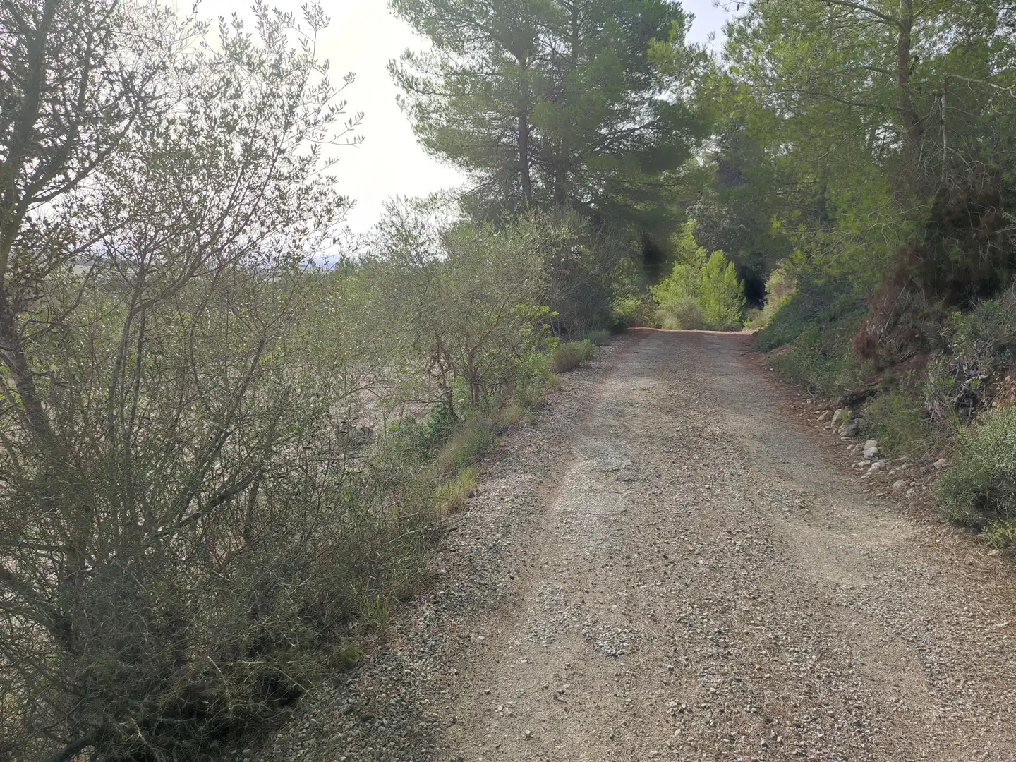 Terreny residencial en venda a Sant Joan, imagen 21
