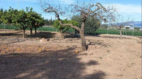 Foto 4 de Casa o xalet en venda a La Pinilla - Las Palas, Fuente Álamo de Murcia