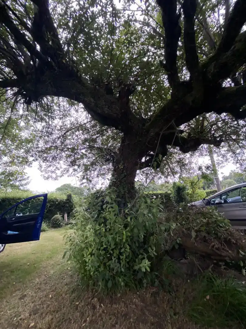 Jardí de Pis en venda en Curtis amb Jardí privat, Traster i Piscina