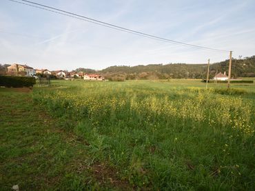 Terrain rustique à vendre à Arce