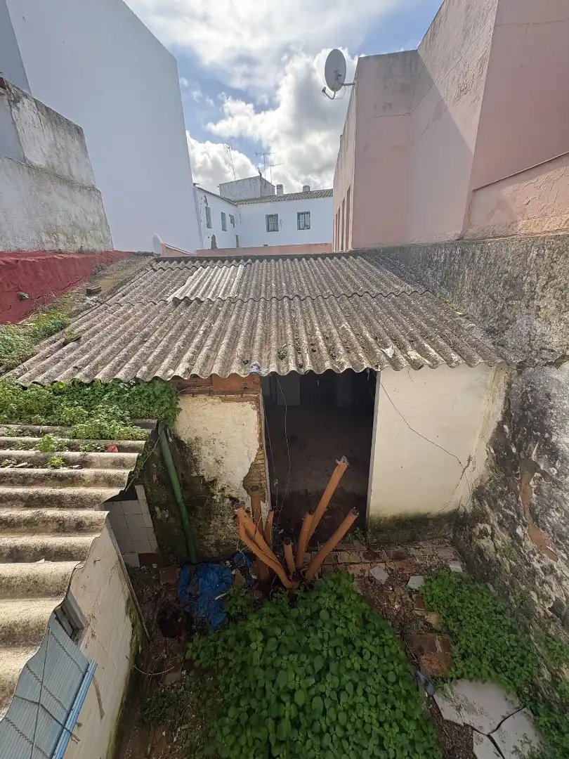 Vista exterior de Casa o chalet en venta en Carmona con Jardín privado