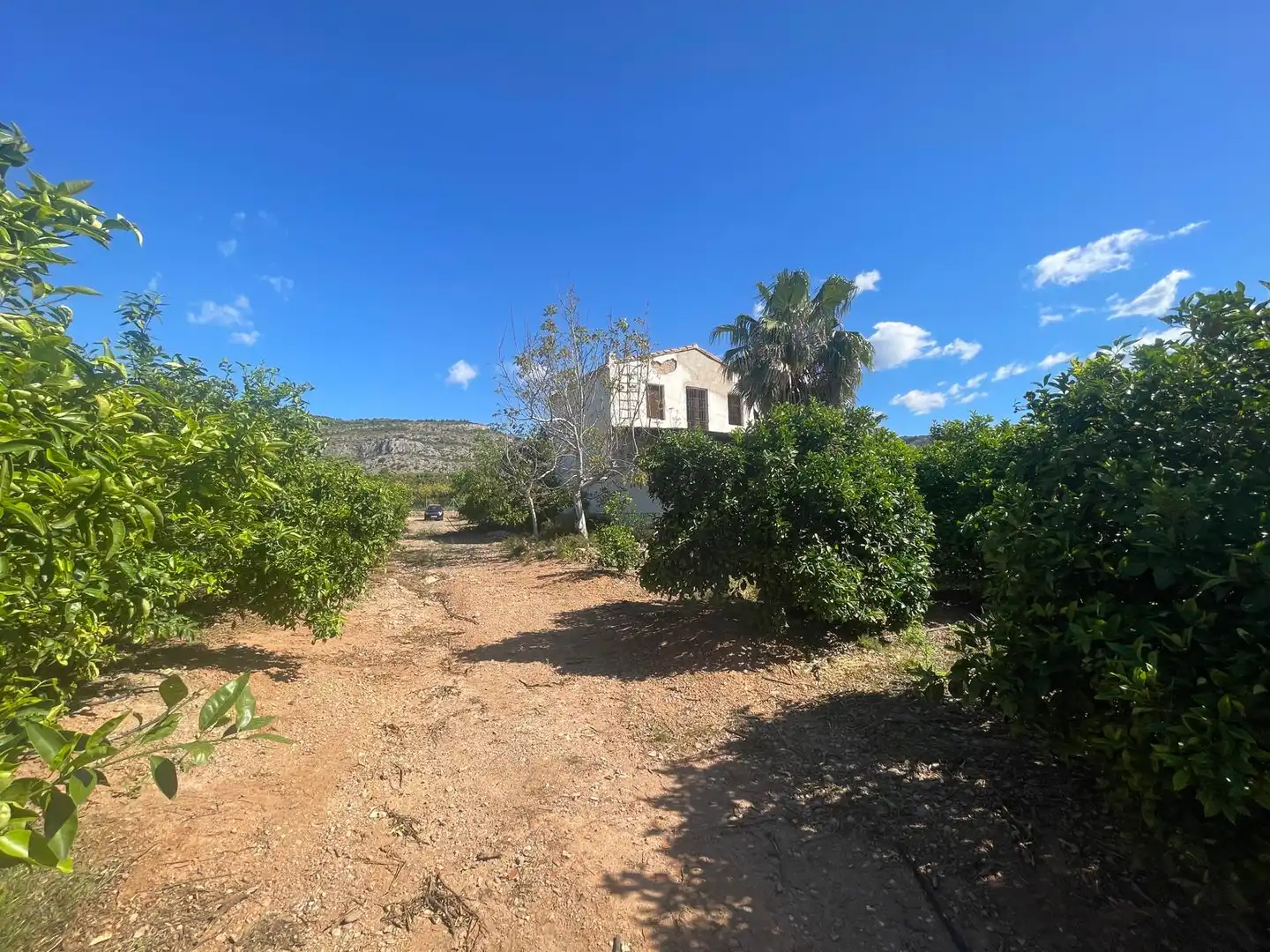 Grundstücke zum Verkauf in Castellón de la Plana / Castelló de la Plana