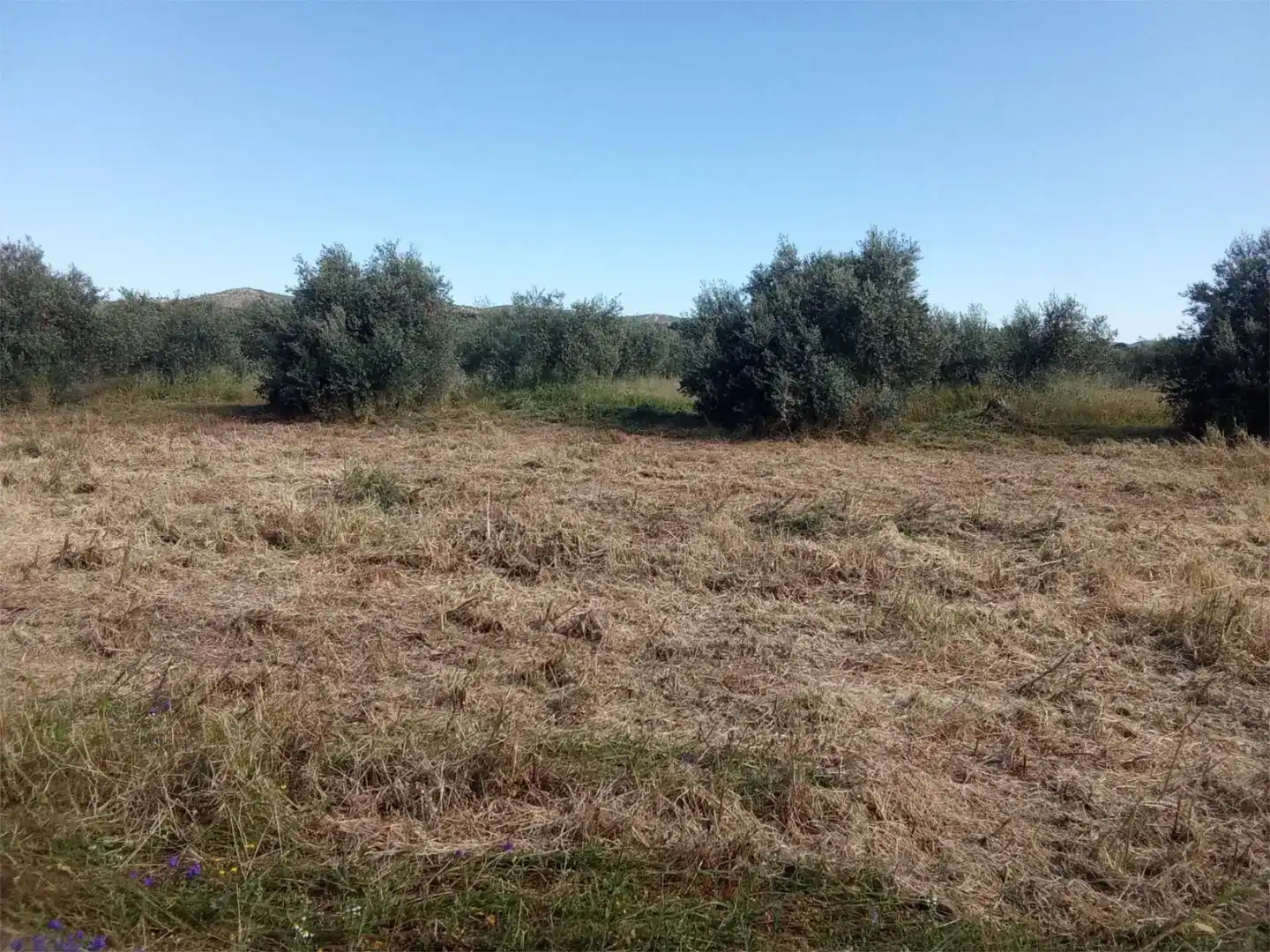 Pis en venda en Piedrabuena amb Jardí privat, Traster i Moblat