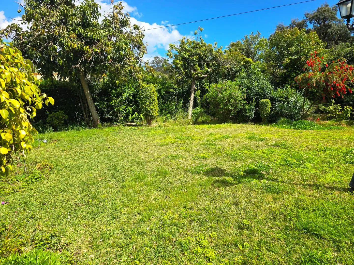 Gewerbefläche zum Verkauf in NAL-340 (EL PARAISO) 9, imagen 16