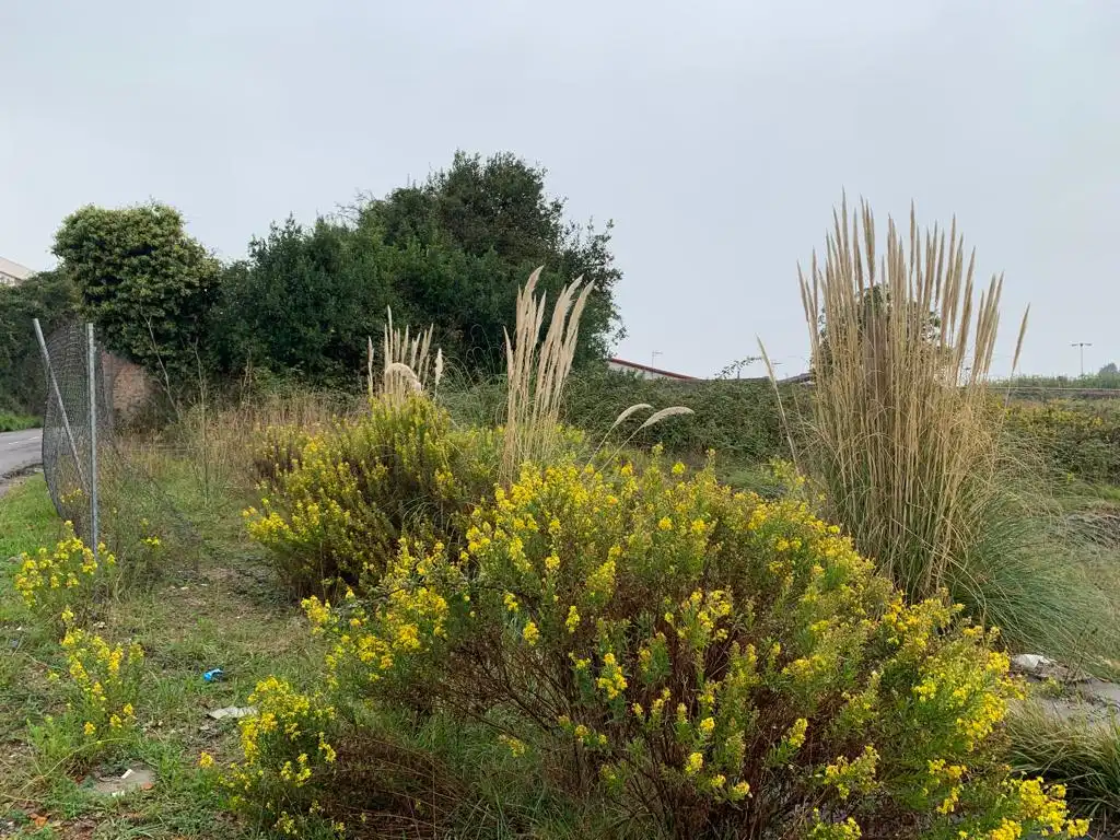 Residential for sale in Perchera