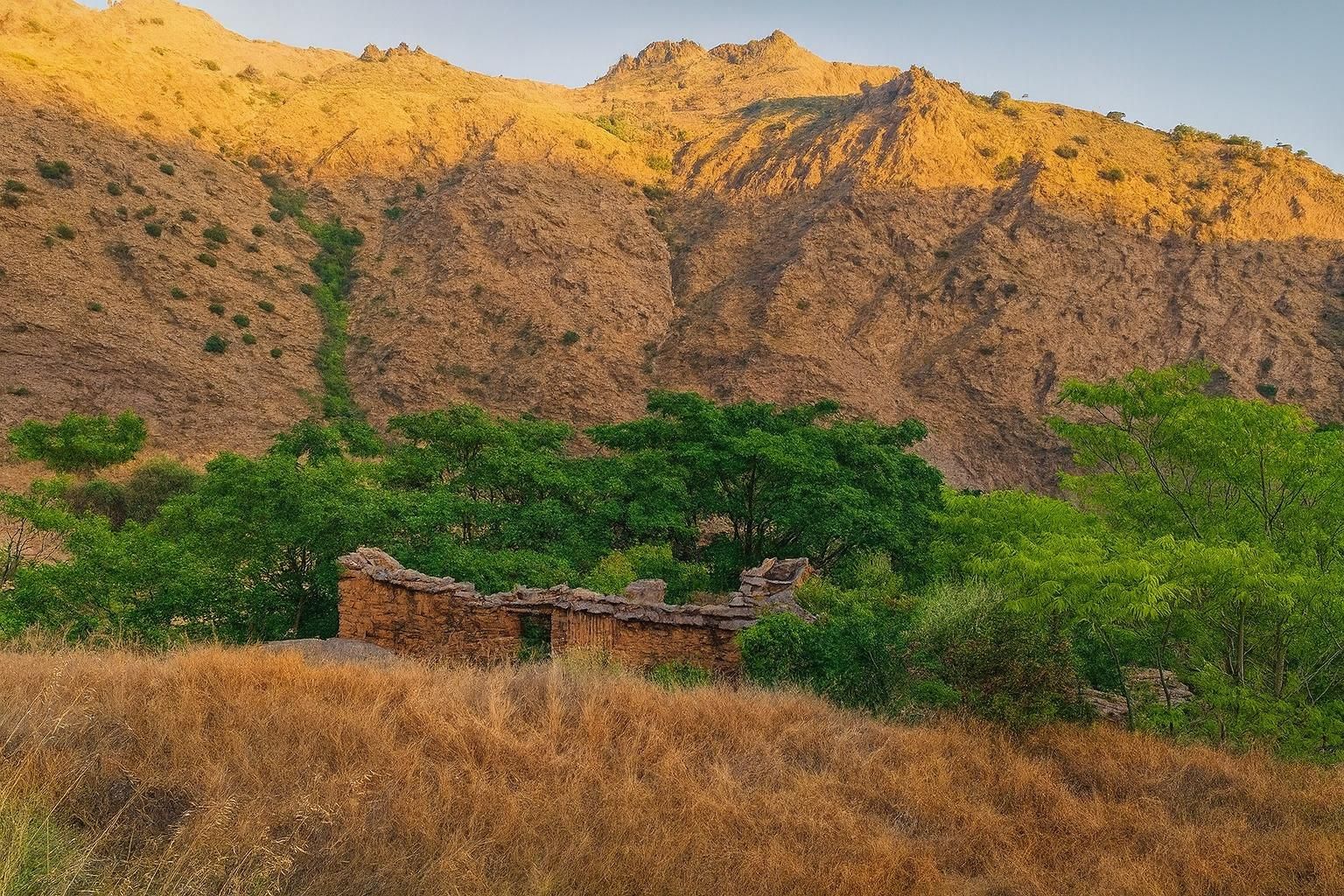 Exterior view of Land for sale in Busquístar