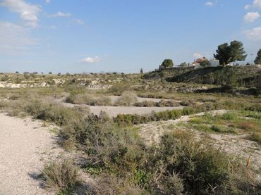 Terreno rustico in vendita a Los Valientes