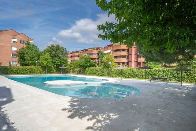 Piso en Venta en Vía de las Dos Castillas en Avenida Europa