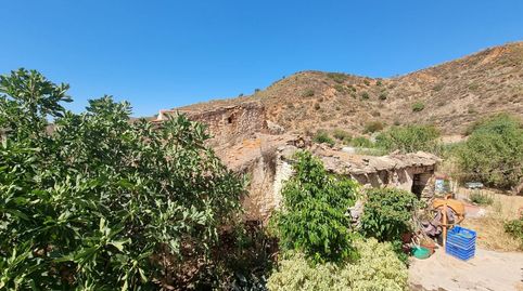 Foto 5 de Finca rústica en venta en Los Morales, 1, Rubite, Granada