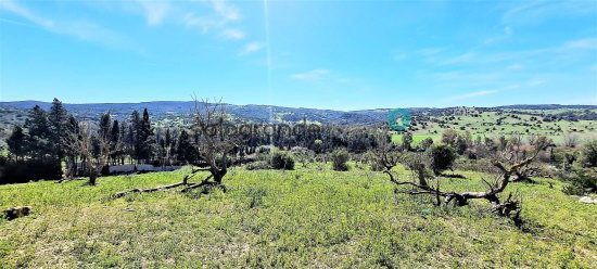 Country house for sale in Sotogrande