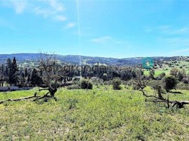 Casa rústica en venta en San Enrique - Guadiaro -  Pueblo Nuevo