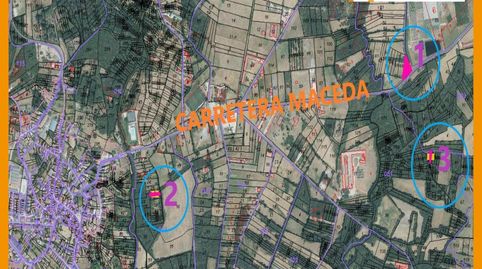 Se venden 3 Fincas rústicas en el entorno de Maceda