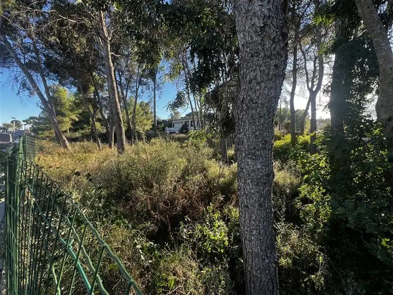 Lands and plots for sale in MIRADOR, imagen 5