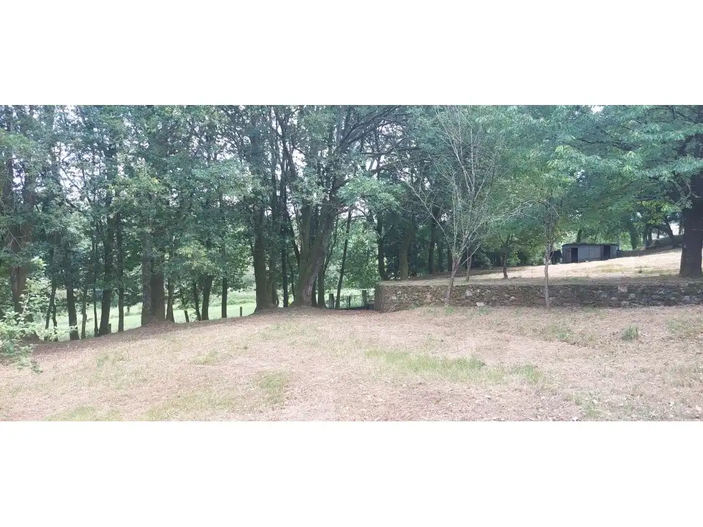 Casa o chalet en venta en Silleda