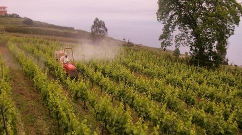 Foto 3 de Finca rústica en venta en Campo de Golf - Agua García - Juan Fernández, Santa Cruz de Tenerife