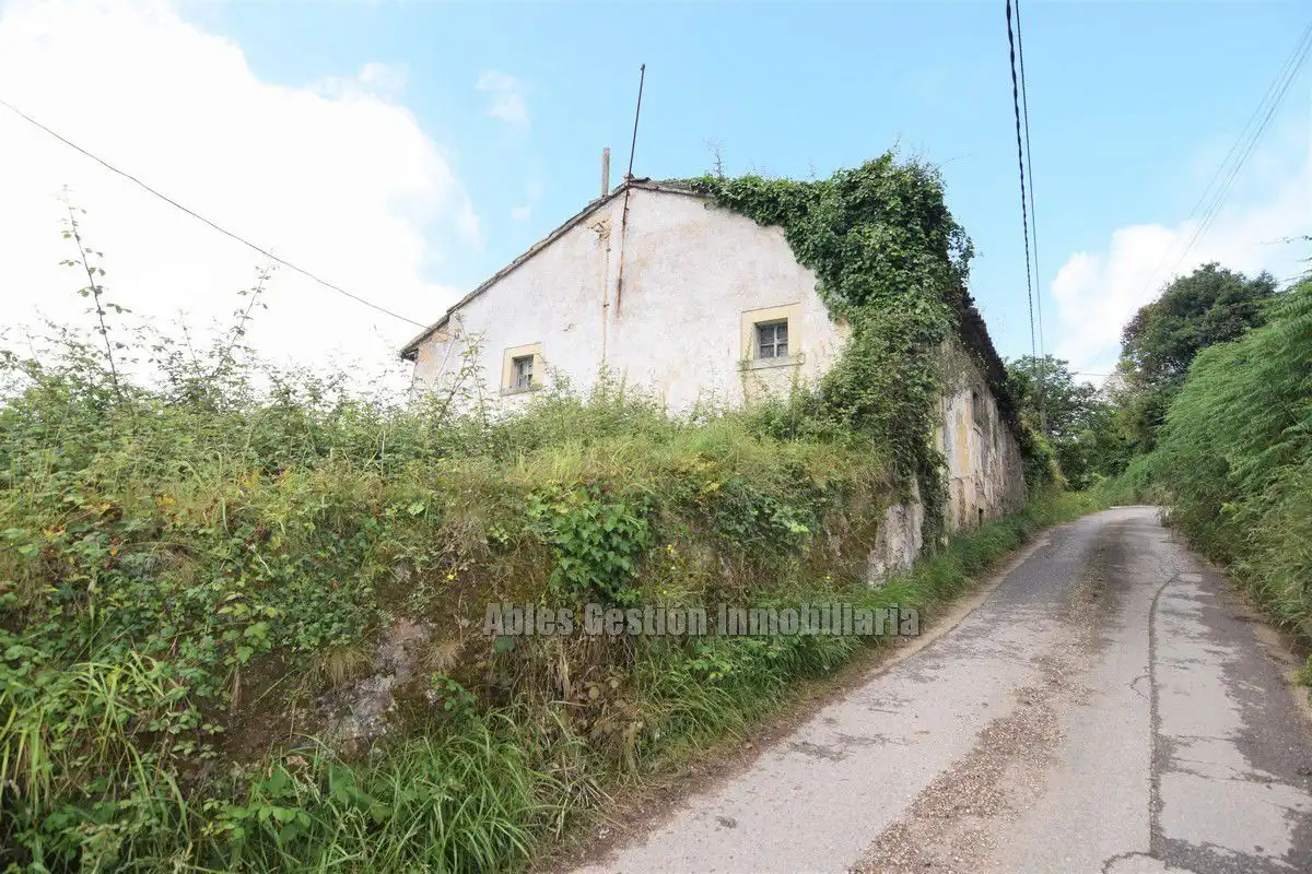 Vista exterior de Finca rústica en venta en Carreño