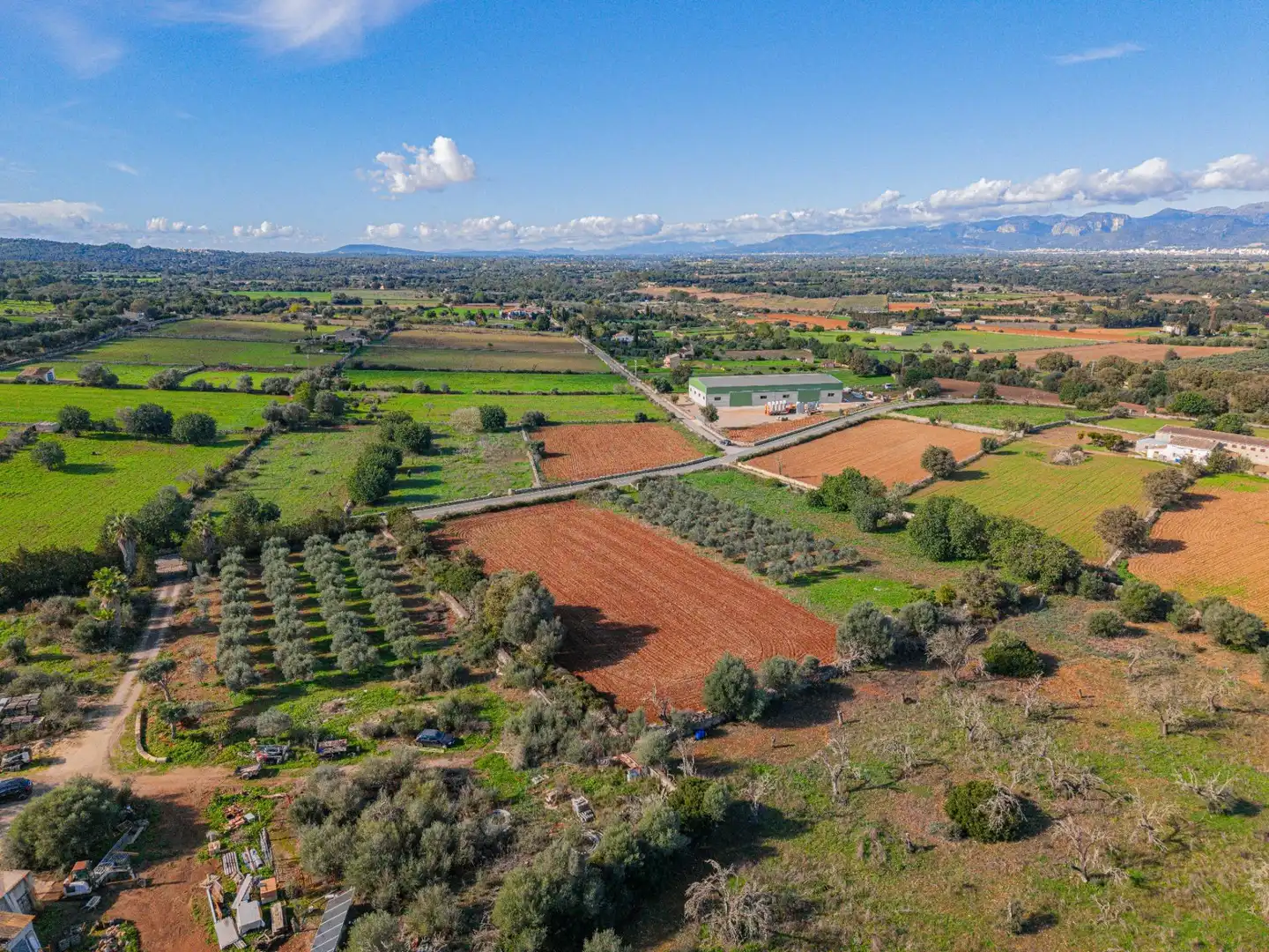 Terreny rústic en venda a Camino Camí de Vinyota, imagen 4