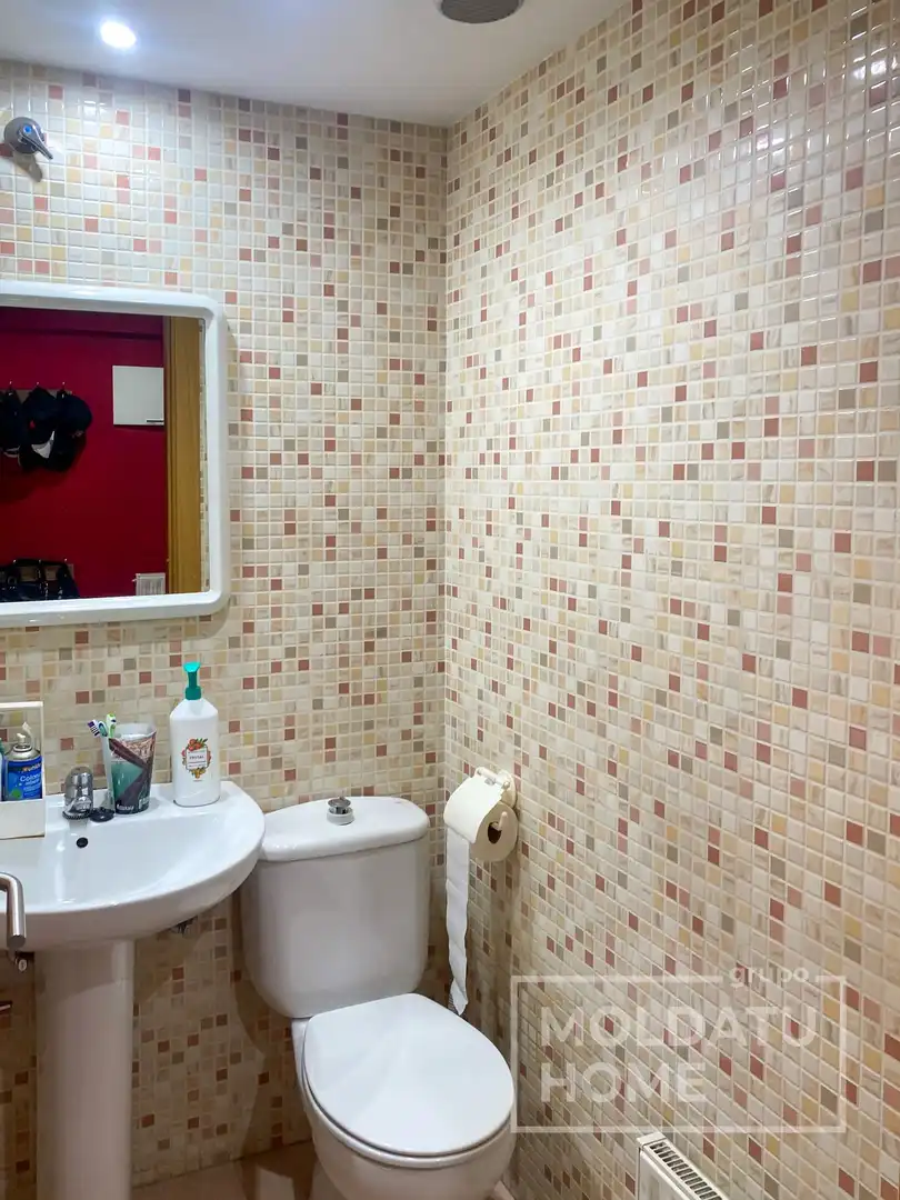 Duplex with lift for sale in Buztintxuri, imagen 19