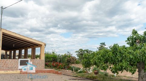 Foto 4 de Finca rústica en venta en Calarreona, Águilas