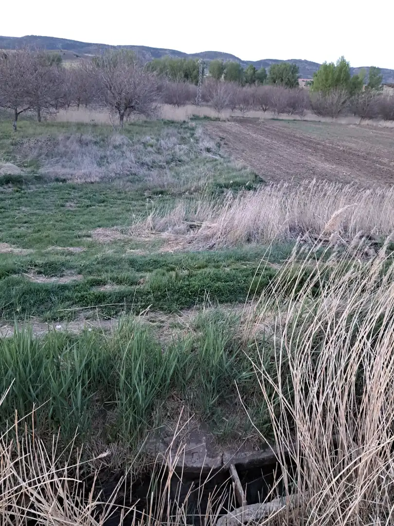Land for sale in Cuenca