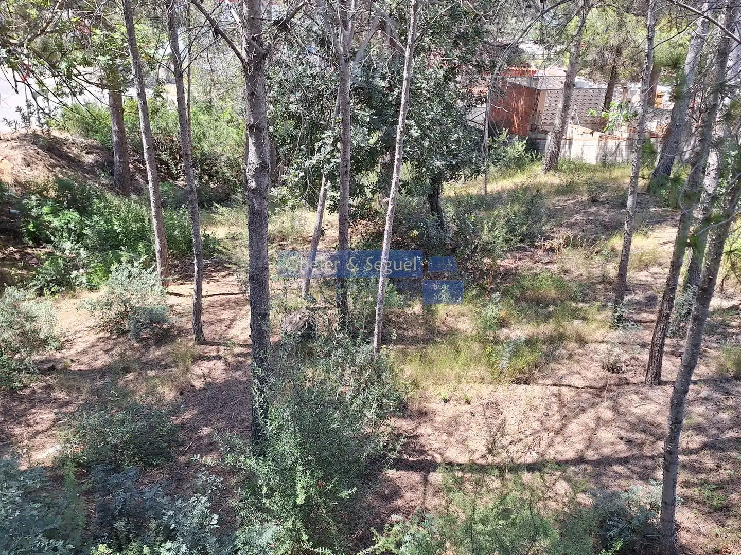 Lands and plots for sale in Gilet, imagen 7