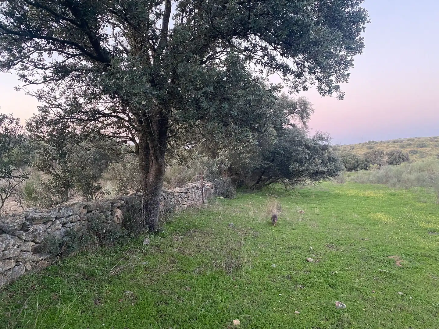 Terreni e lotti in vendita a Villar del Pedroso, imagen 23