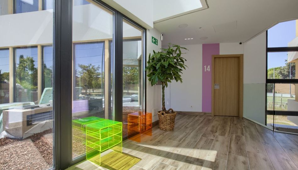 Estudio de alquiler en Guazalate, 4, El Bosque - Imagen 5