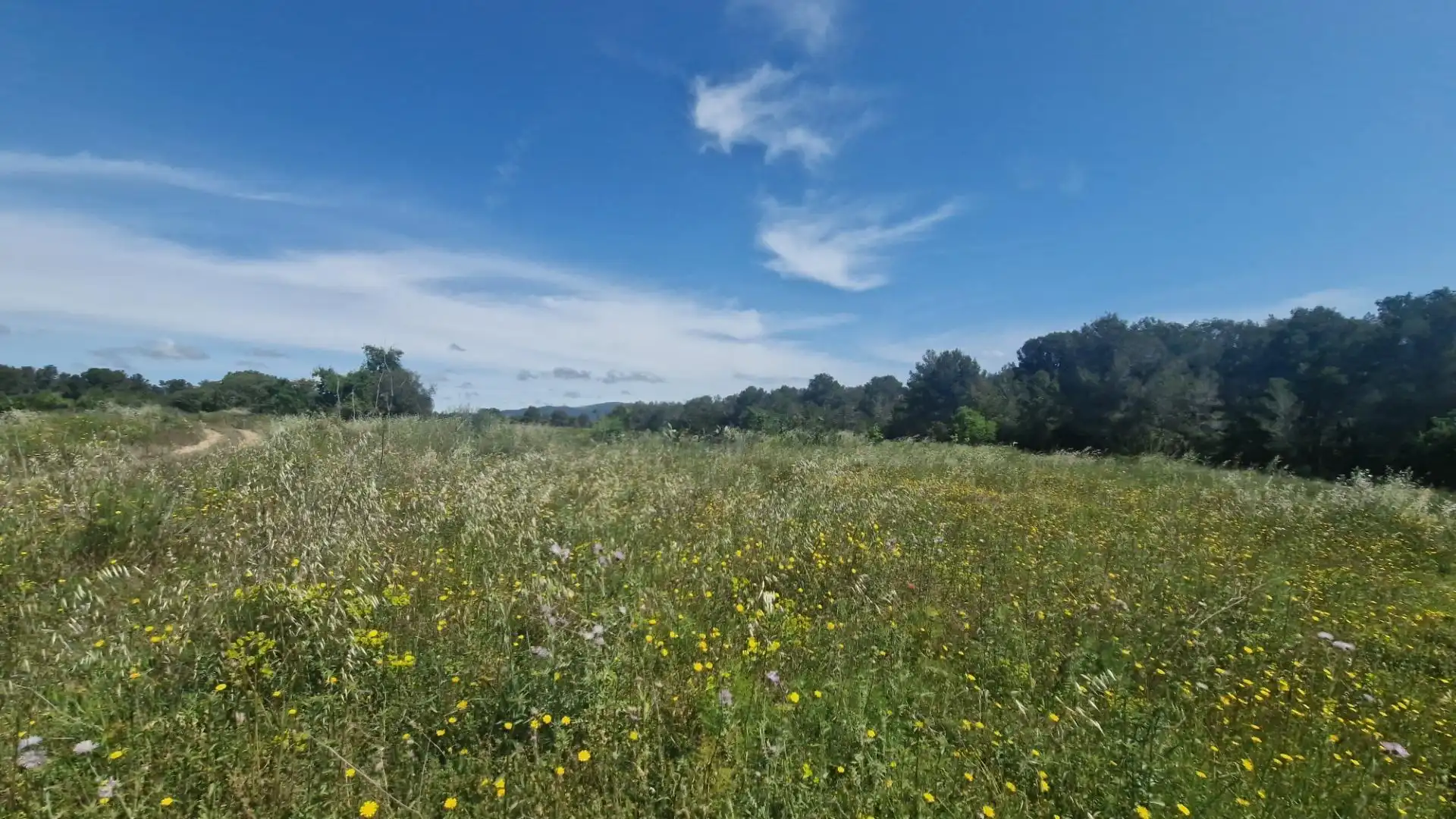 Terreno rustico in vendita a Valls, imagen 33