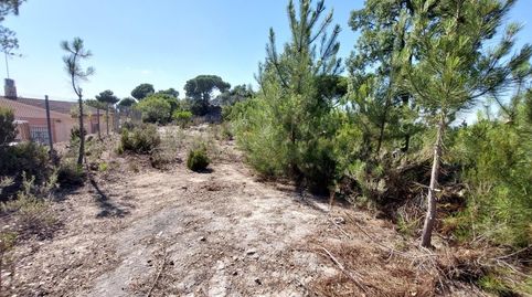 Foto 4 de Residencial en venda a Carrer Illa, 7, Lloret Residencial - Montlloret, Lloret de Mar