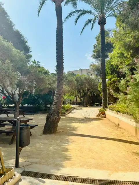 Flat with pool to rent in Camí de Marco, imagen 21