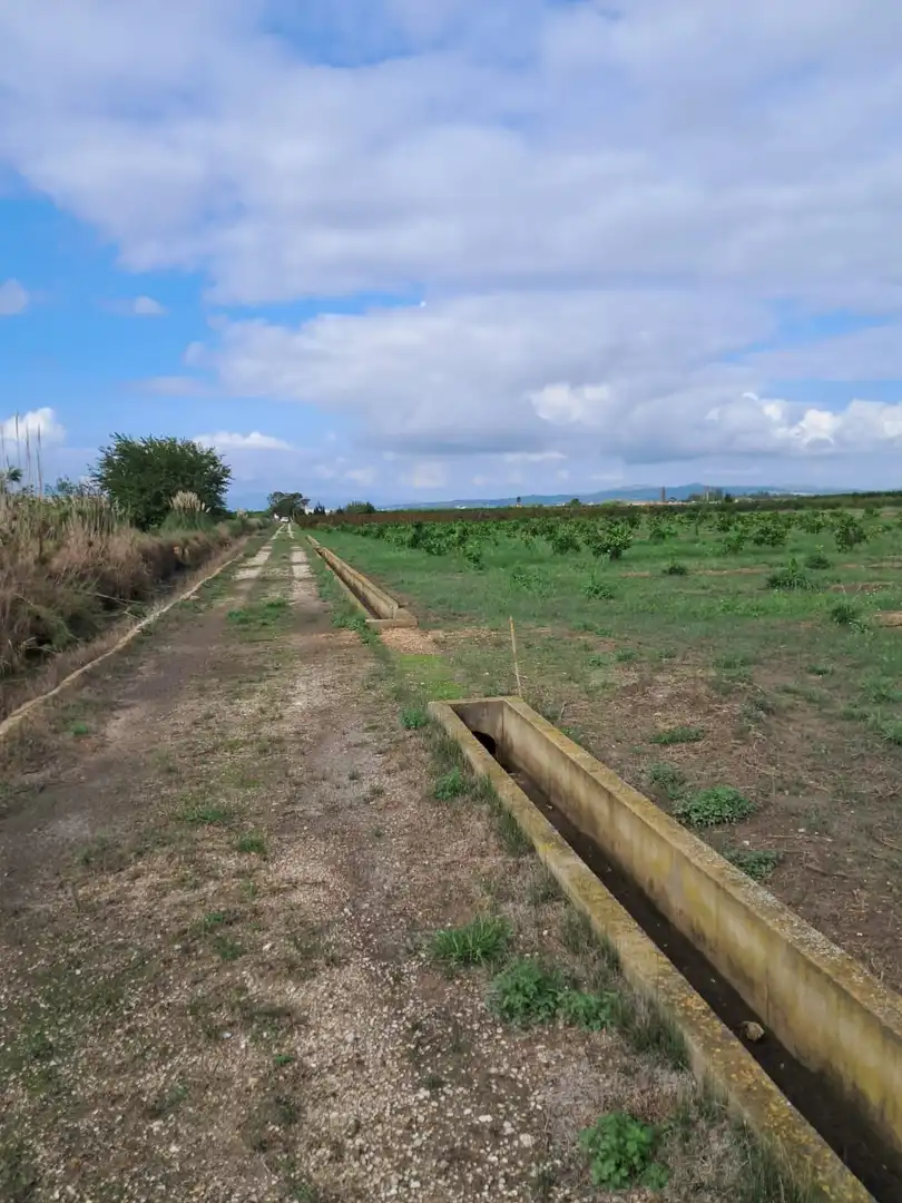 Finca rústica en venta en Sollana con Trastero y Piscina