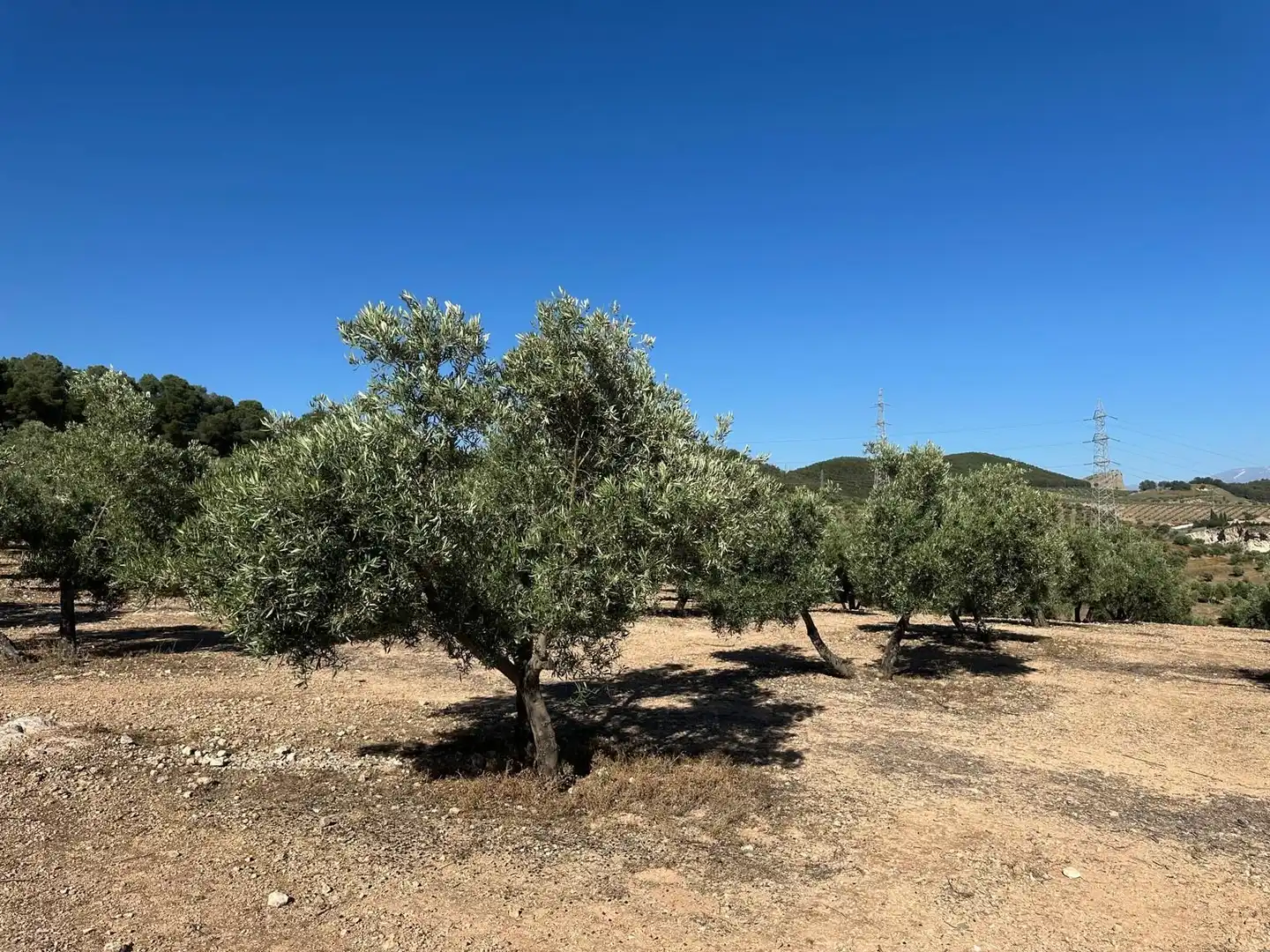 Terreni e lotti in vendita a Atarfe, imagen 13