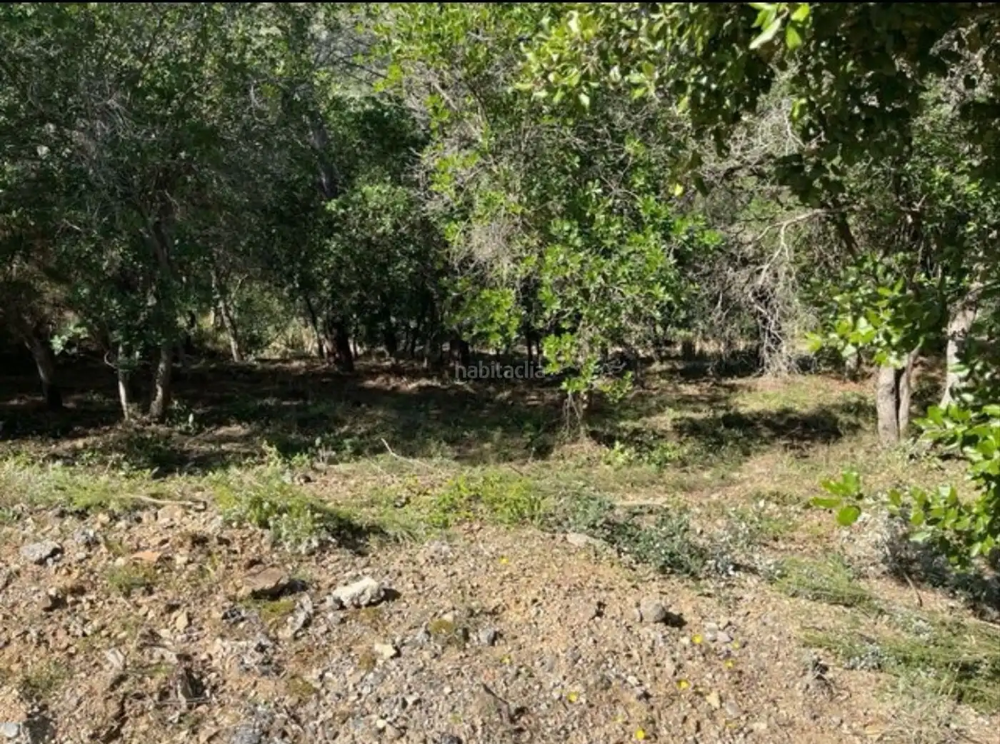 Residential land for sale in Carrer Penya de les Cols 67, imagen 2