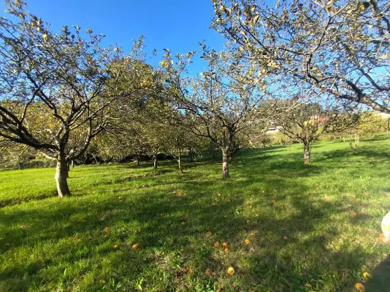 Residential for sale in Proaza, Asturias