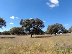 Terreni e lotti in vendita a Norte, imagen 39