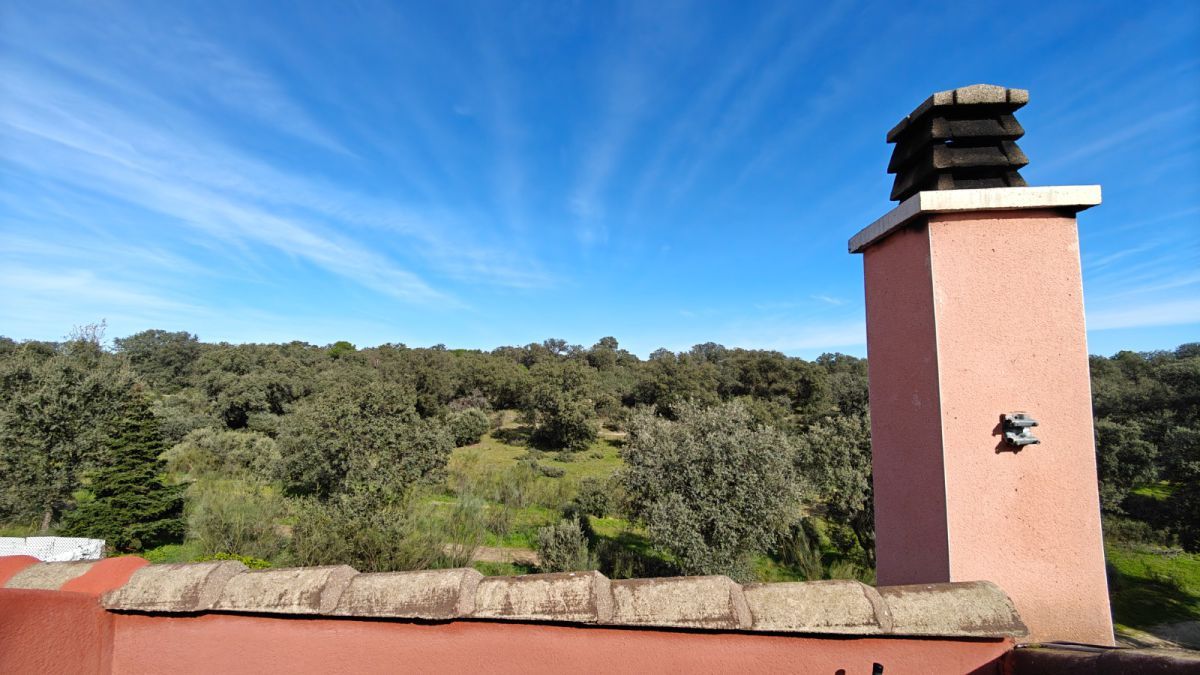 Garden of Single-family semi-detached to rent in Boadilla del Monte  with Heating