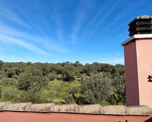 Jardí de Casa adosada de lloguer en Boadilla del Monte amb Calefacció