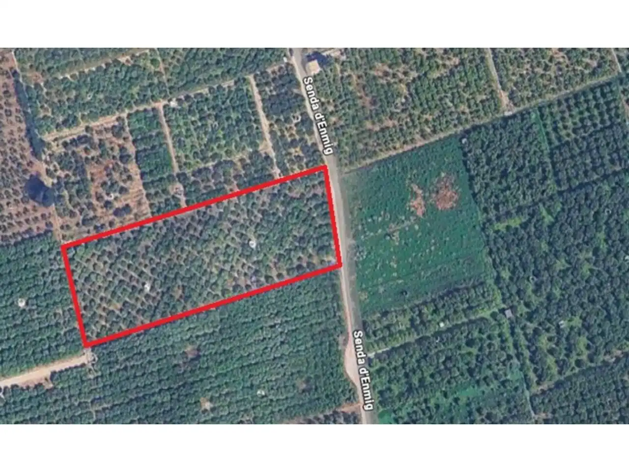 Terreny rústic en venda a Sector Enmig, imagen 16