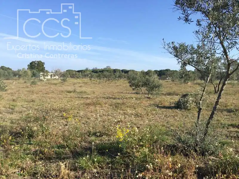 Finca rústica en venta en Almonte