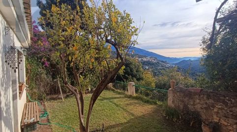Foto 5 de Finca rústica en venta en Calle Centro del Pueblo, Albuñuelas, Granada
