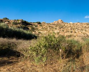 Grundstücke zum verkauf in Alhama de Almería