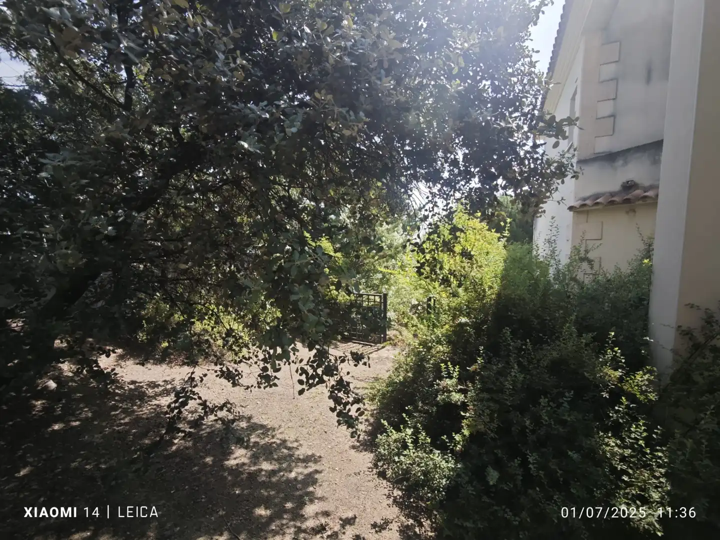 Haus oder Chalet zum Verkauf in Calle Don Felipe de África, Pino Alto - Navarredonda