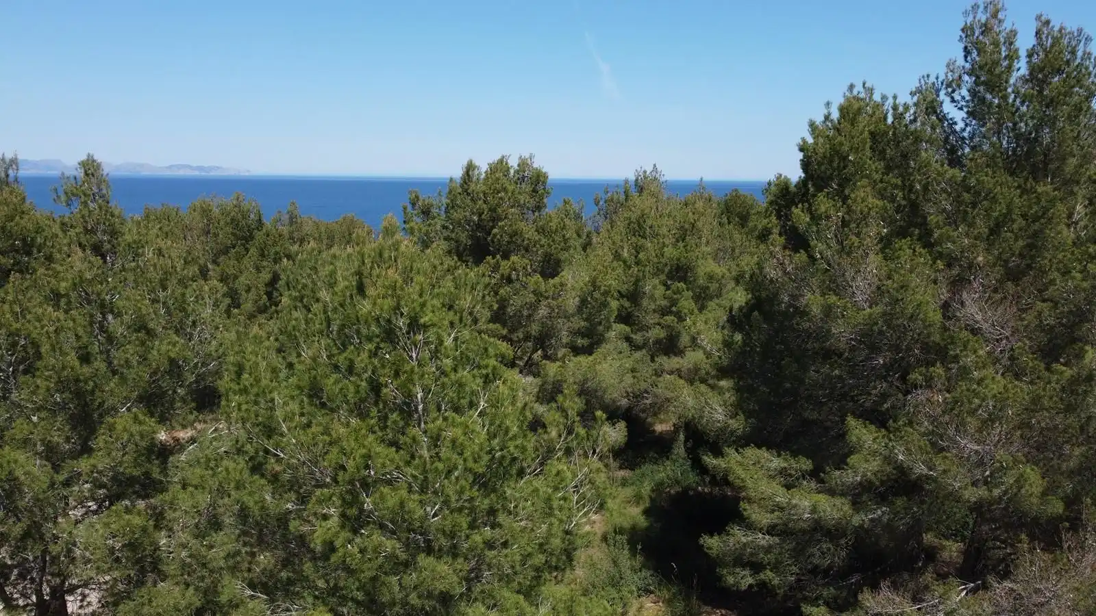 Terrenys i solars en venda a Betlem, imagen 7