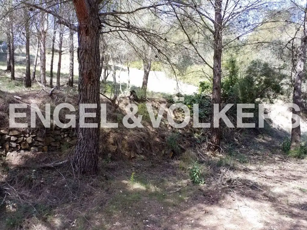 Terreno residenziale in vendita a Riudecanyes, imagen 6