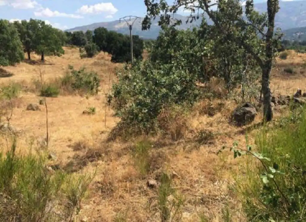 Terreno rustico in vendita a FINCA CONDESA, imagen 3