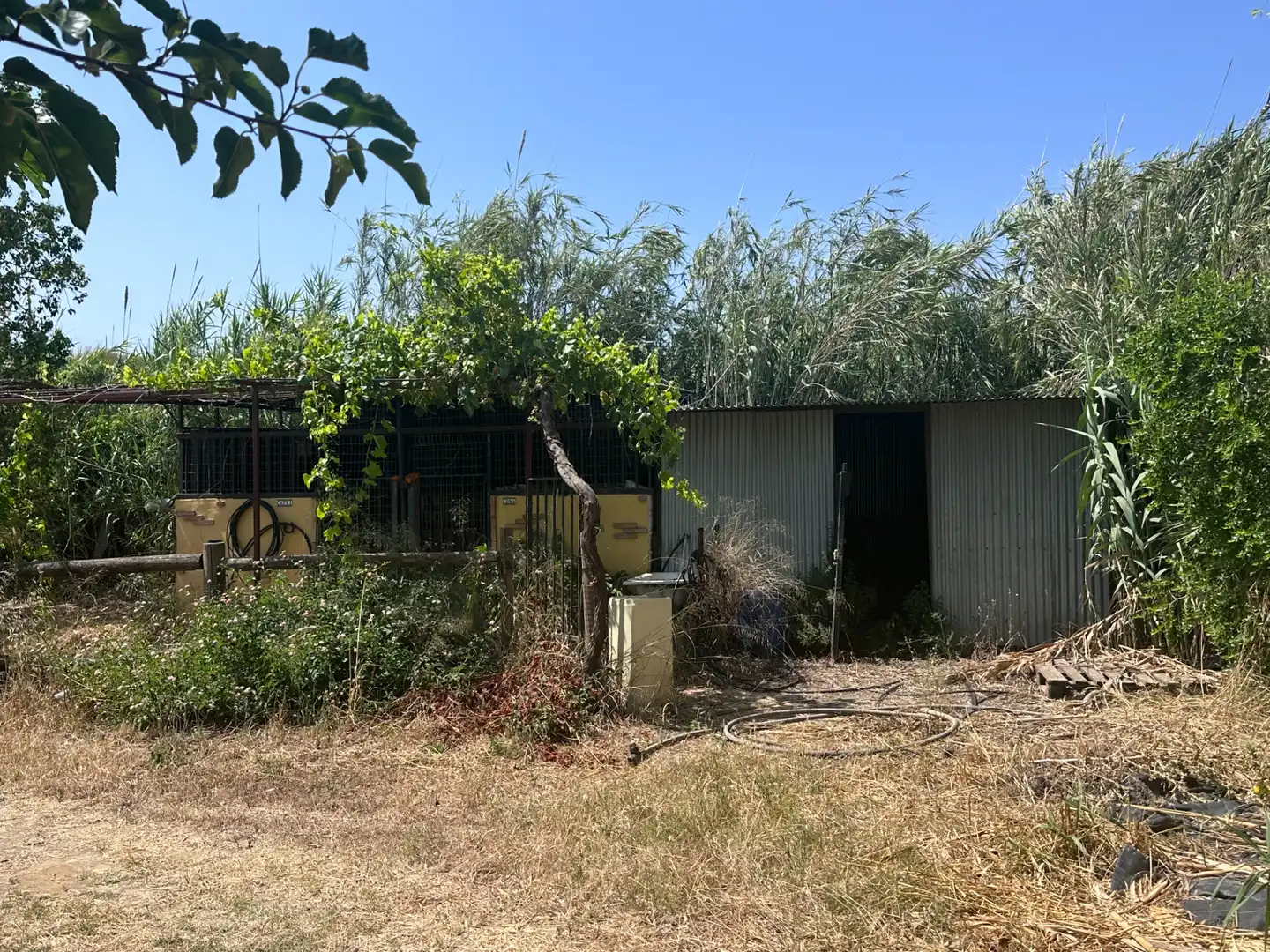 Terreno rustico in vendita a Buenavista - Lauro Golf, imagen 3