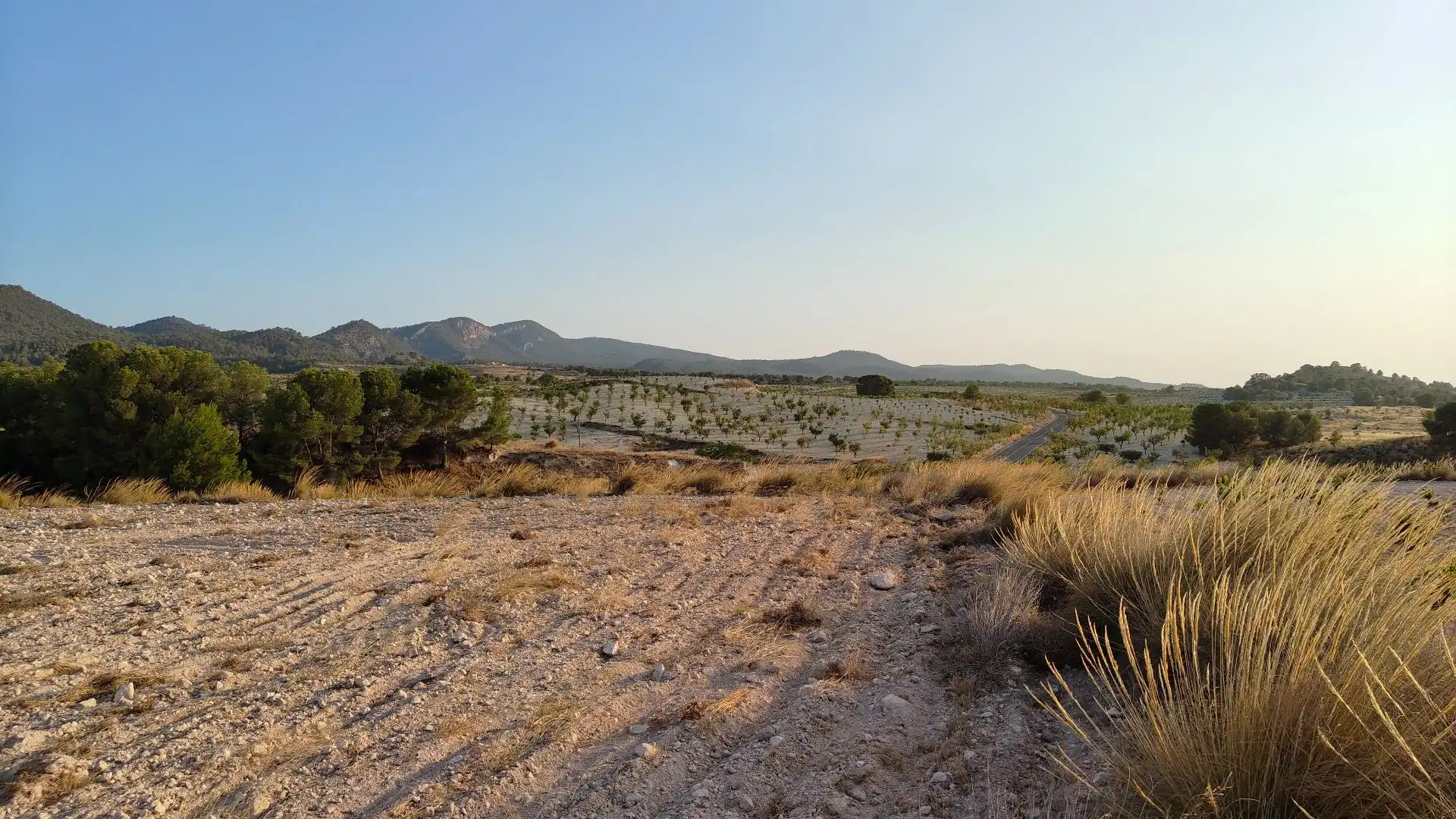 Terreno rustico in vendita a Jumilla, imagen 3