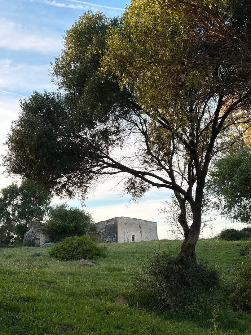 Vista exterior de Finca rústica en venta en Tarifa