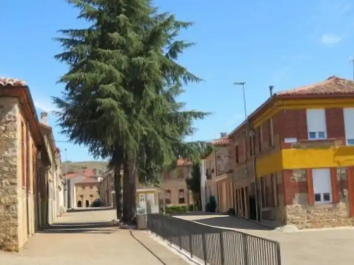Terreni e lotti in vendita a Calle del Castillo 50, imagen 11